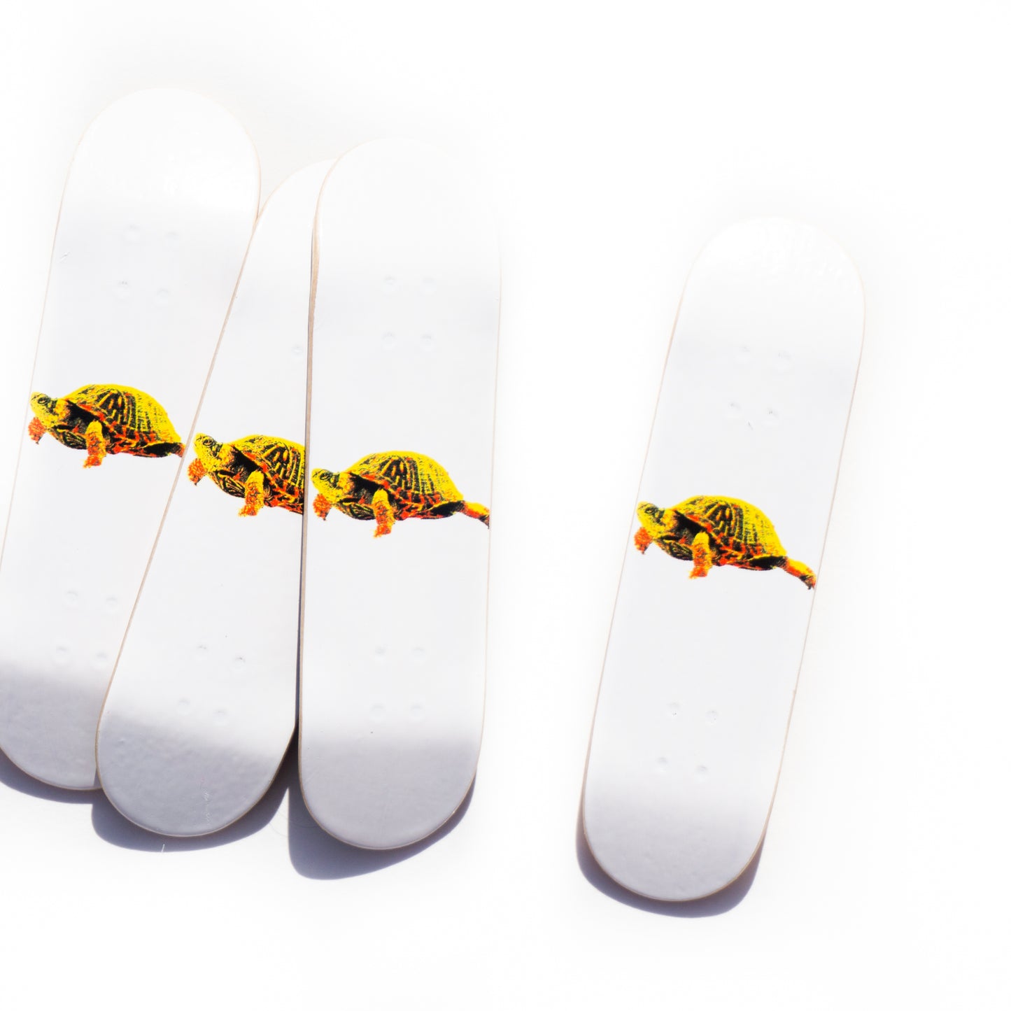 Hand Shaped 26mm "Box Turtle" Graphic Deck